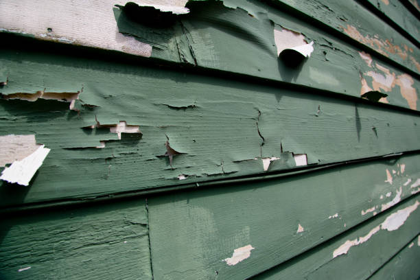 Same-Day Junk Removal Services in Dewitt, IA