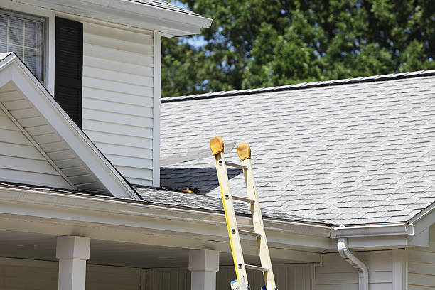 Best Shed Removal  in Dewitt, IA